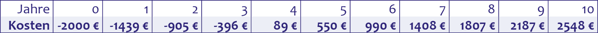 Net Present Value (NPV) unter Berücksichtigung der Inflations- und Kreditzinsen.